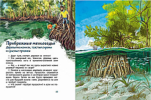 Oceany i morza. Encyklopedia dla dzieci