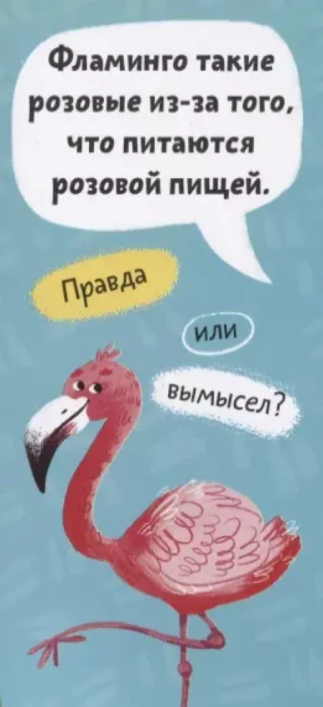 Amazing Animals. A Fan Book for Children
