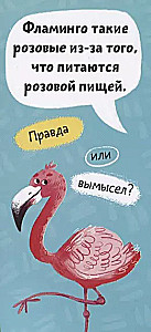 Amazing Animals. A Fan Book for Children
