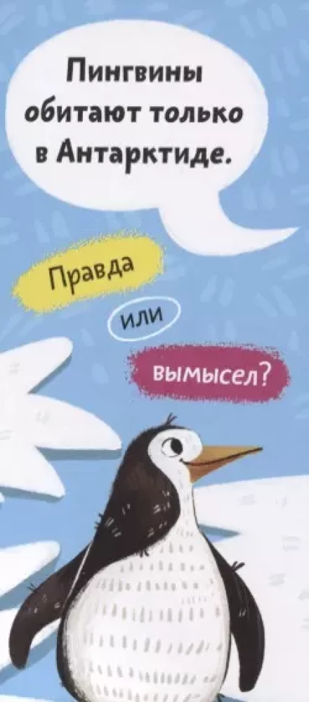 Amazing Animals. A Fan Book for Children