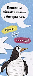 Amazing Animals. A Fan Book for Children