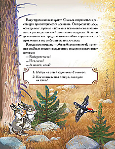 The Story of the Royal Fir (a fairy tale with tasks and stickers)