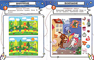 Quest and Tests for 5-6 Years Old. Learning While Playing