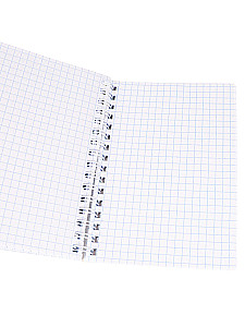 Notebook of the Beauty of the World