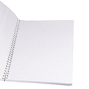 A5 Graph Notebook. View of Megacities (48 Sheets)