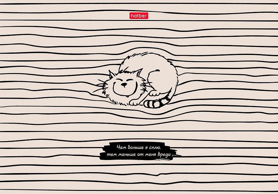 Notes w kratkę A5. COOL-Cat (48 kartek)