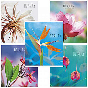 B5 Lined Notebook. Assorted (48 sheets)