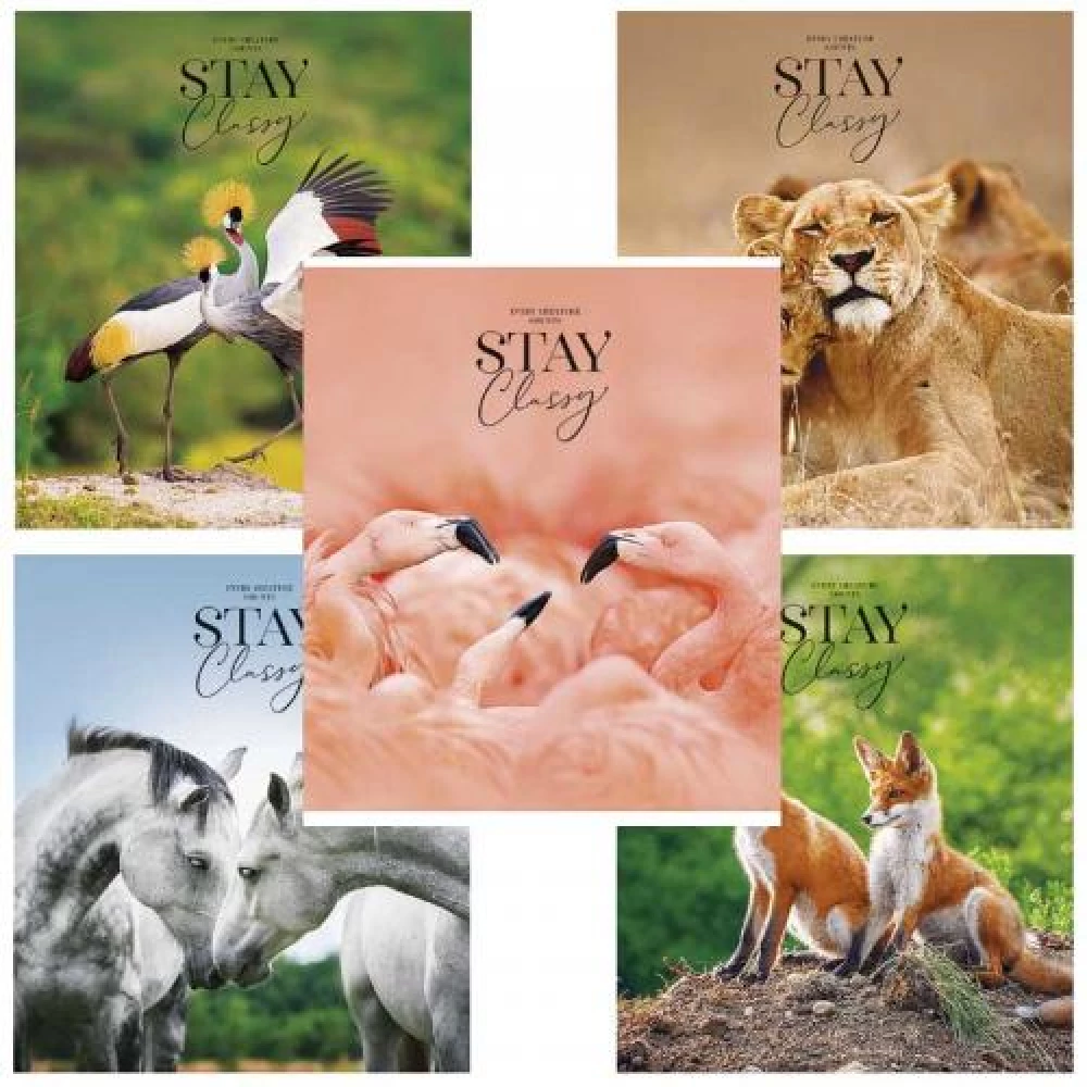 B5 Lined Notebook. Assorted (48 sheets)