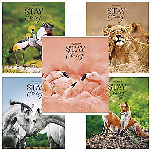 B5 Lined Notebook. Assorted (48 sheets)