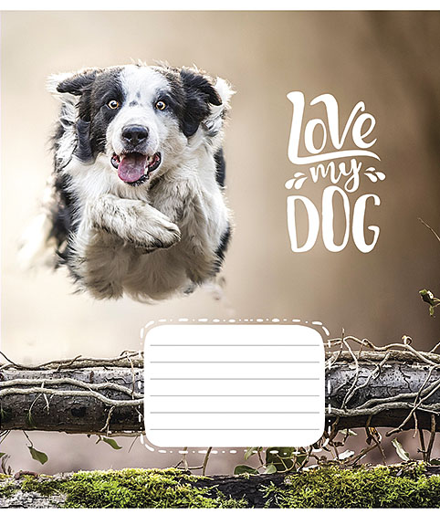 Zeszyt B5 (24 kartki), asortyment