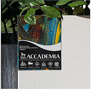 Canvas on a Stretcher Accademia 40x60 cm