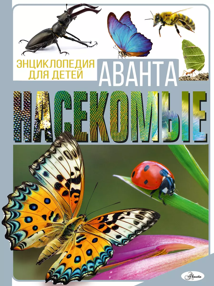 Insekten