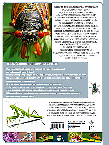 Insects