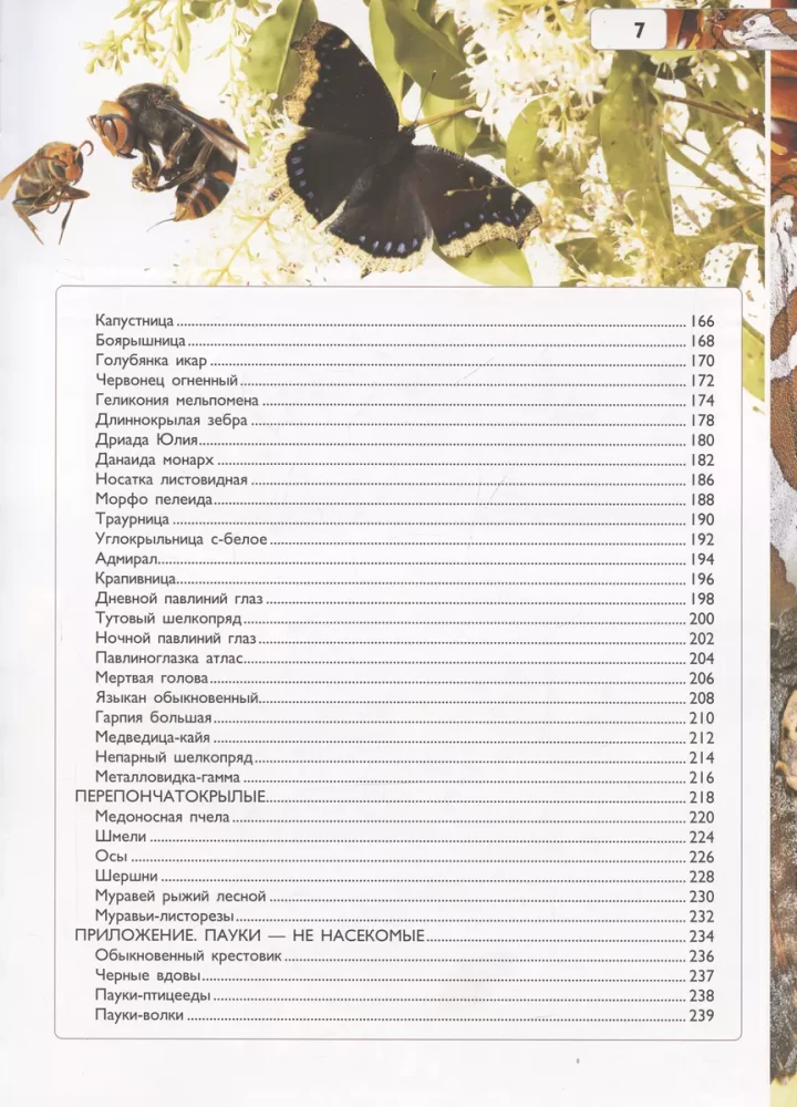 Insects