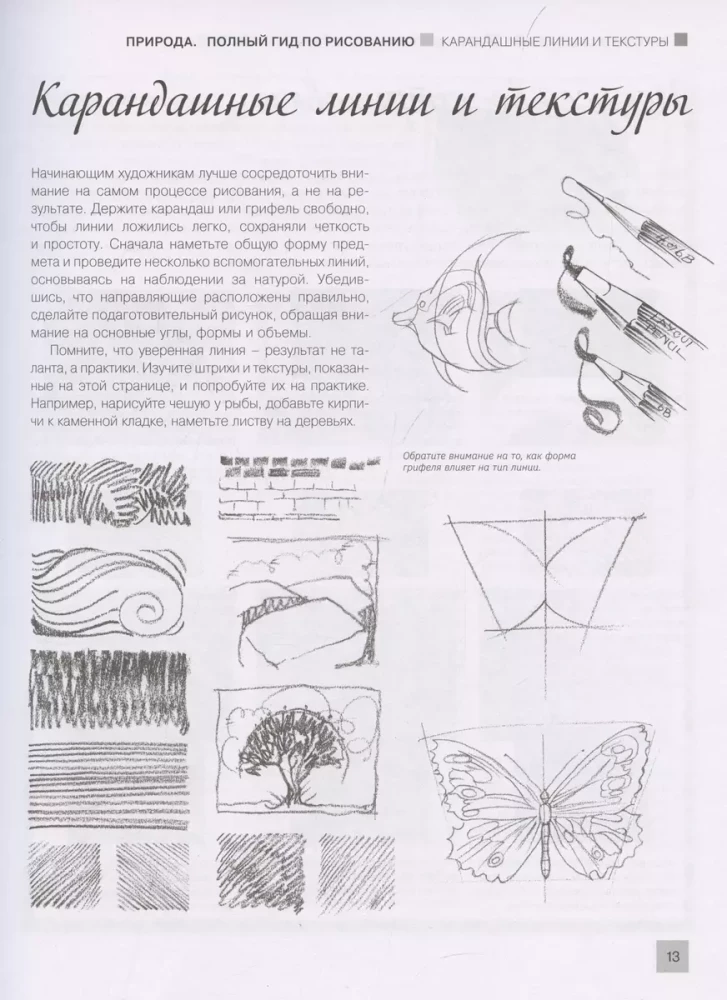 Drawing Everything! From Cats to Trees and Mountains. Over 50 Projects