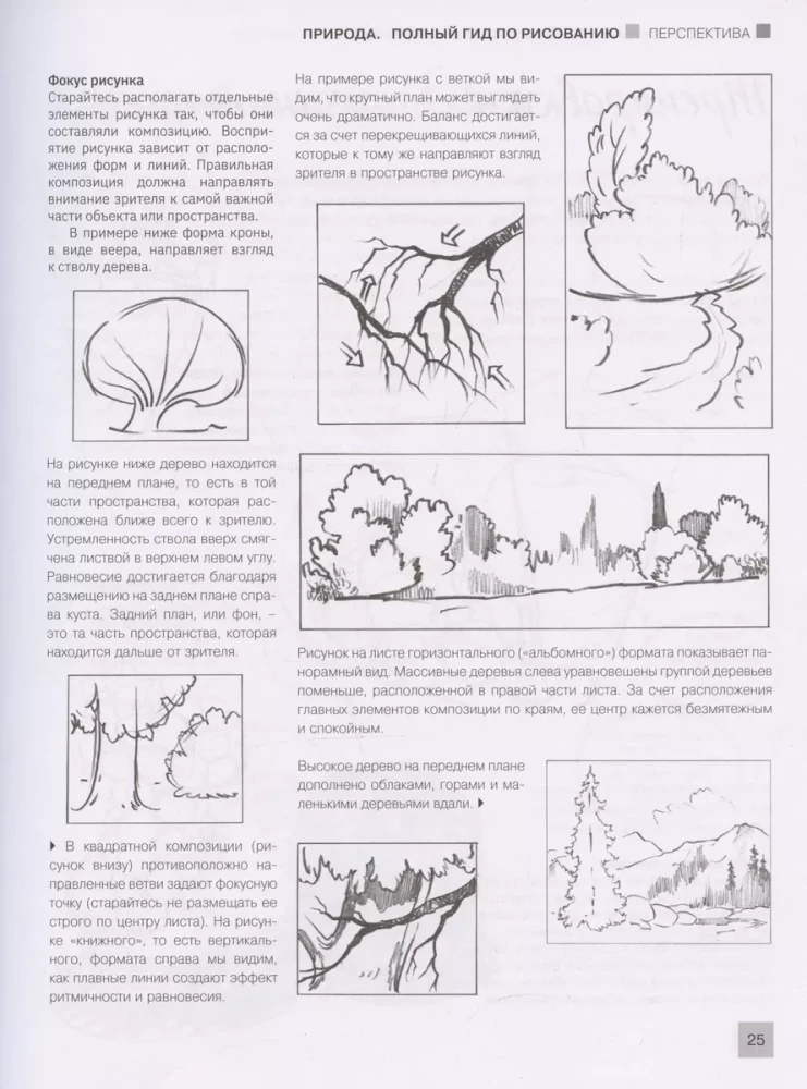 Drawing Everything! From Cats to Trees and Mountains. Over 50 Projects