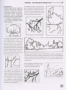 Drawing Everything! From Cats to Trees and Mountains. Over 50 Projects
