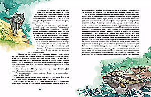Mowgli and Other Tales