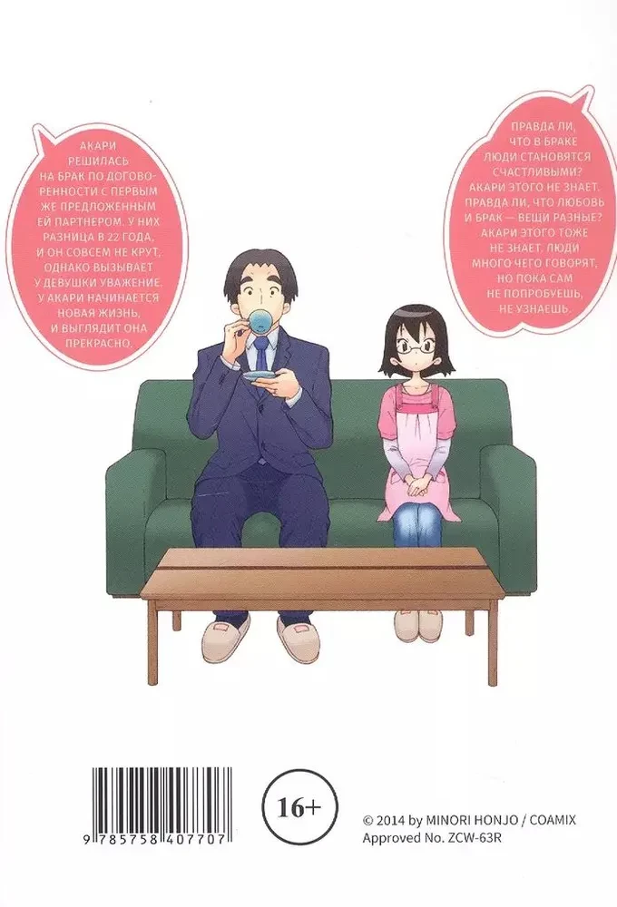 Experimental Marriage of Akari