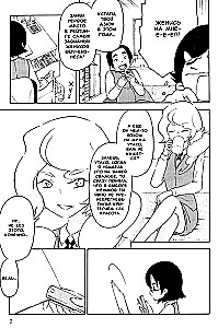 Experimental Marriage of Akari