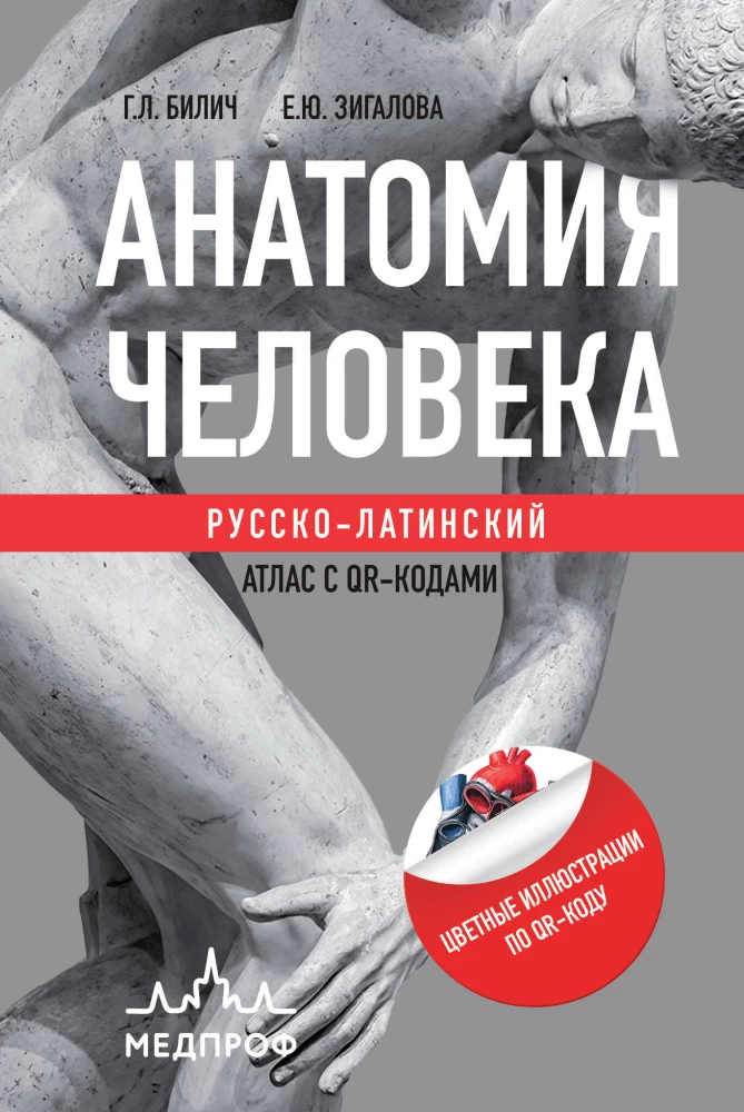 Human Anatomy: Russian-Latin Atlas with QR Codes