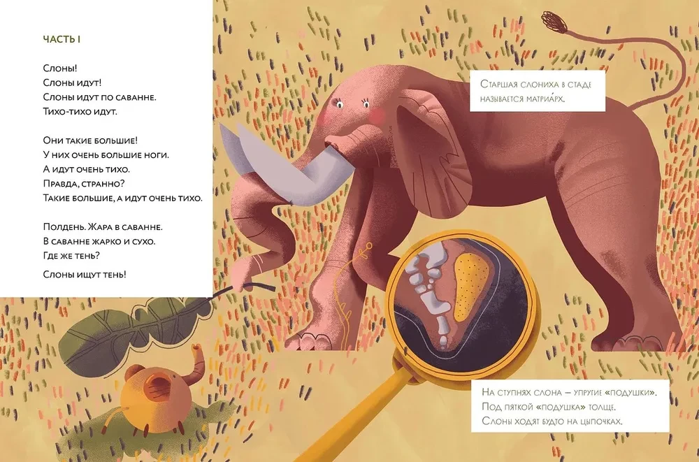 The Elephants Are Coming!