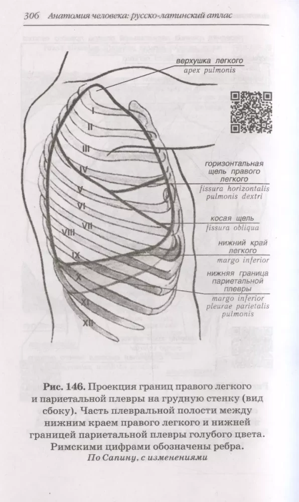 Human Anatomy: Russian-Latin Atlas with QR Codes