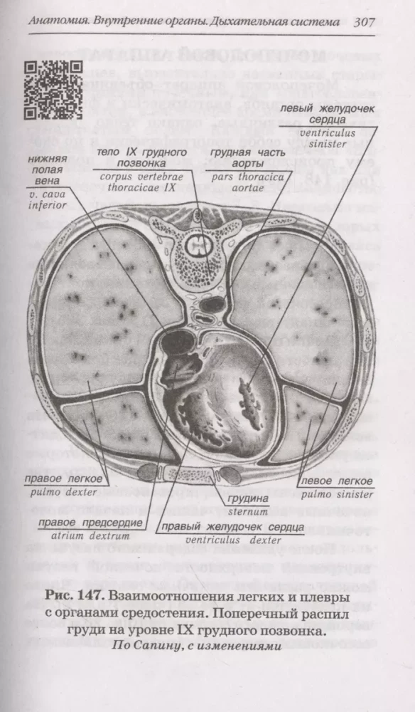 Human Anatomy: Russian-Latin Atlas with QR Codes