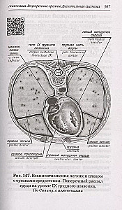 Human Anatomy: Russian-Latin Atlas with QR Codes