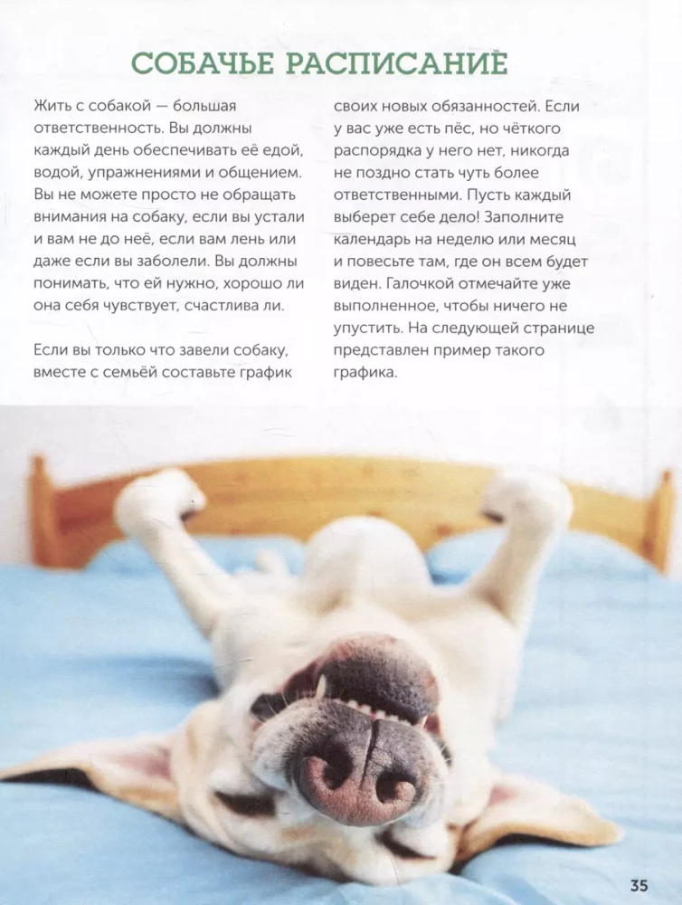 Psy. Pełny przewodnik dla dzieci