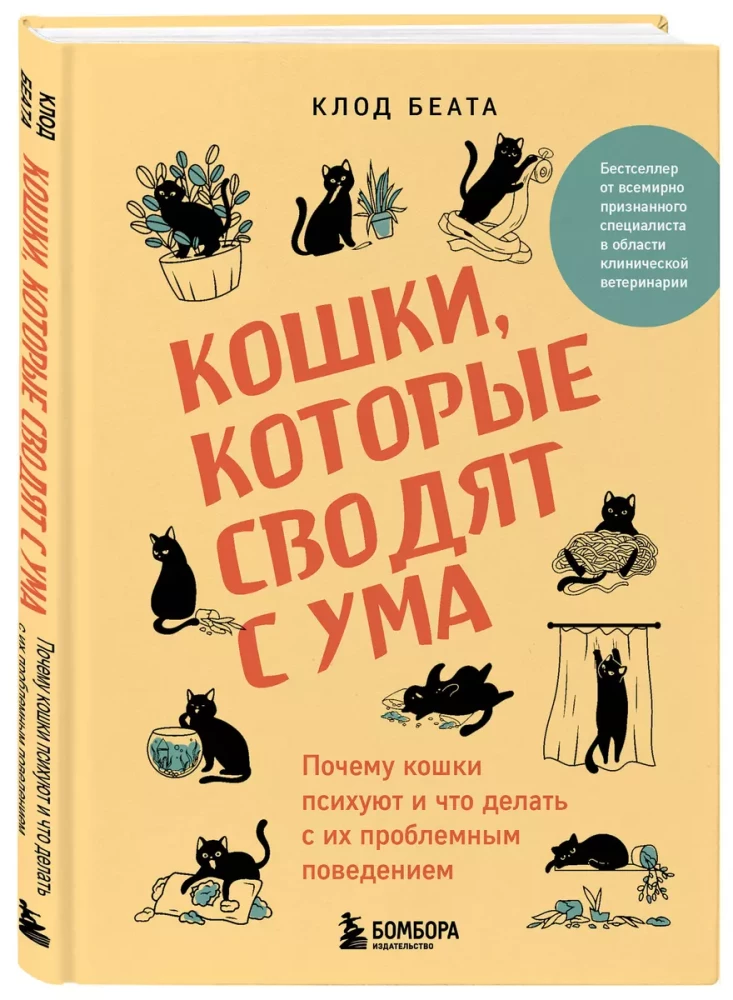 Koty, które doprowadzają do szaleństwa. Dlaczego koty mają problemy psychiczne i co zrobić z ich problematycznym zachowaniem