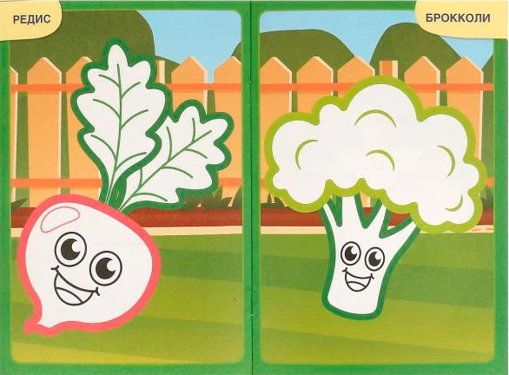 First Coloring Book with Colored Outline. Tasty and Healthy