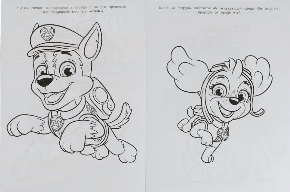 Wonder Coloring Book Paw Patrol. The Puppies Rush to Help!
