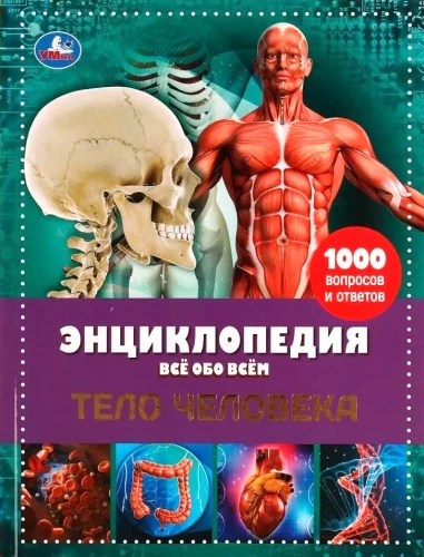 Encyclopedia. Everything about Everything. Human Body