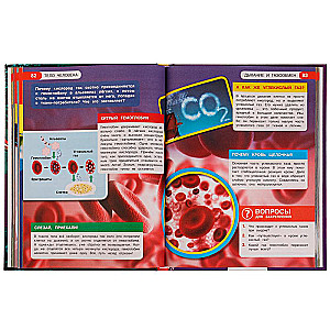 Encyclopedia. Everything about Everything. Human Body