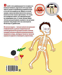 How the Human Body is Structured