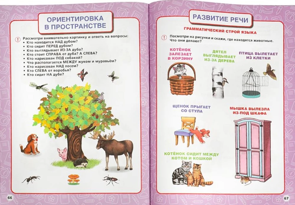 Annual course of classes. 5-6 years