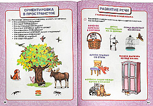 Annual course of classes. 5-6 years