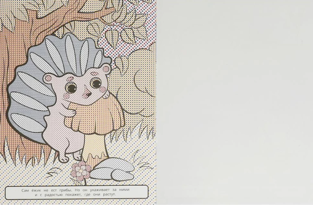 Big Water Coloring Book Forest Dwellers