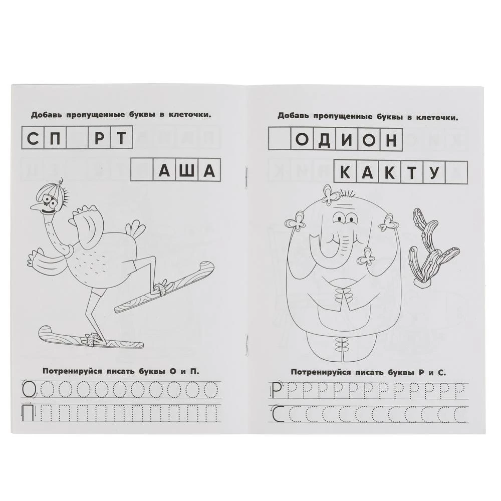 Alphabet. First Coloring Book A5 with Exercises Zebra in a Cell
