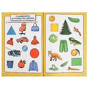 Annual Course of Classes (4-5 years)