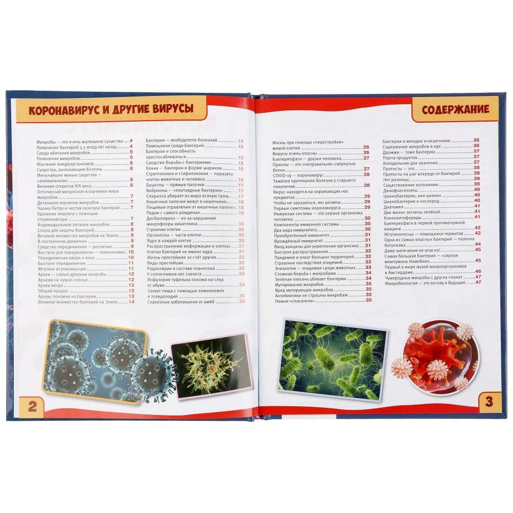 Coronavirus and Other Viruses. 100 Facts. Encyclopedia with Developing Tasks