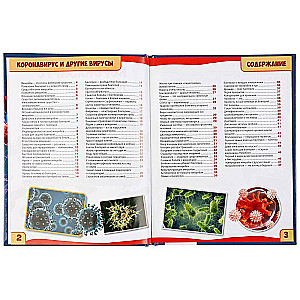 Coronavirus and Other Viruses. 100 Facts. Encyclopedia with Developing Tasks