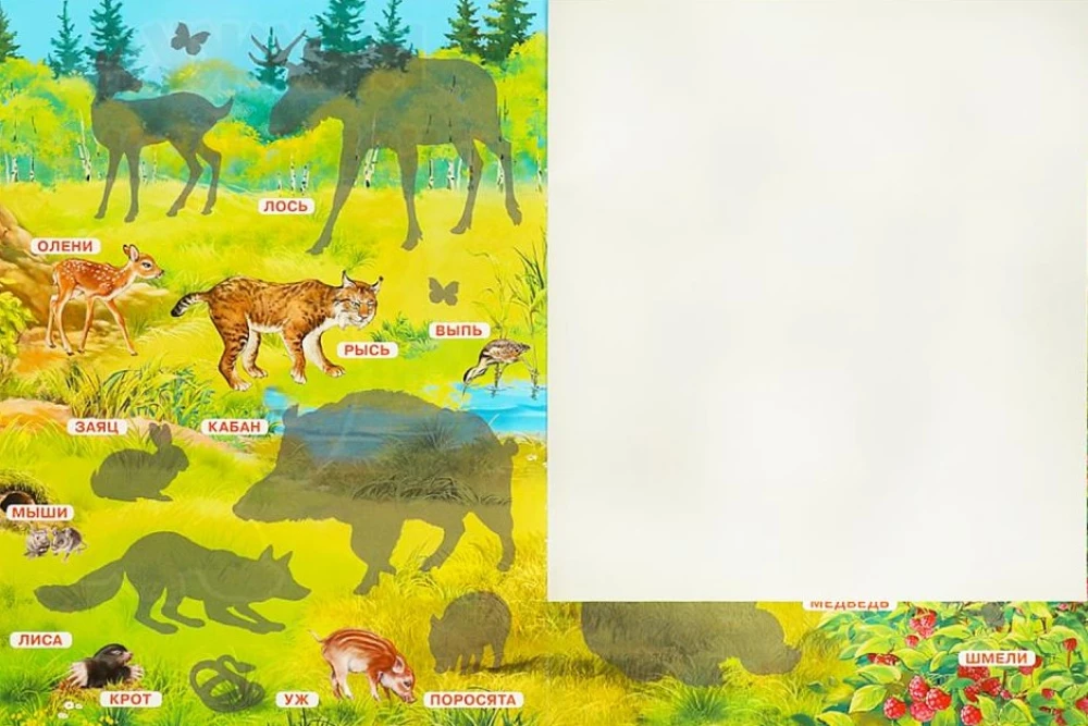 Sticker Book. Forest Animals