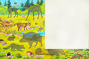 Sticker Book. Forest Animals