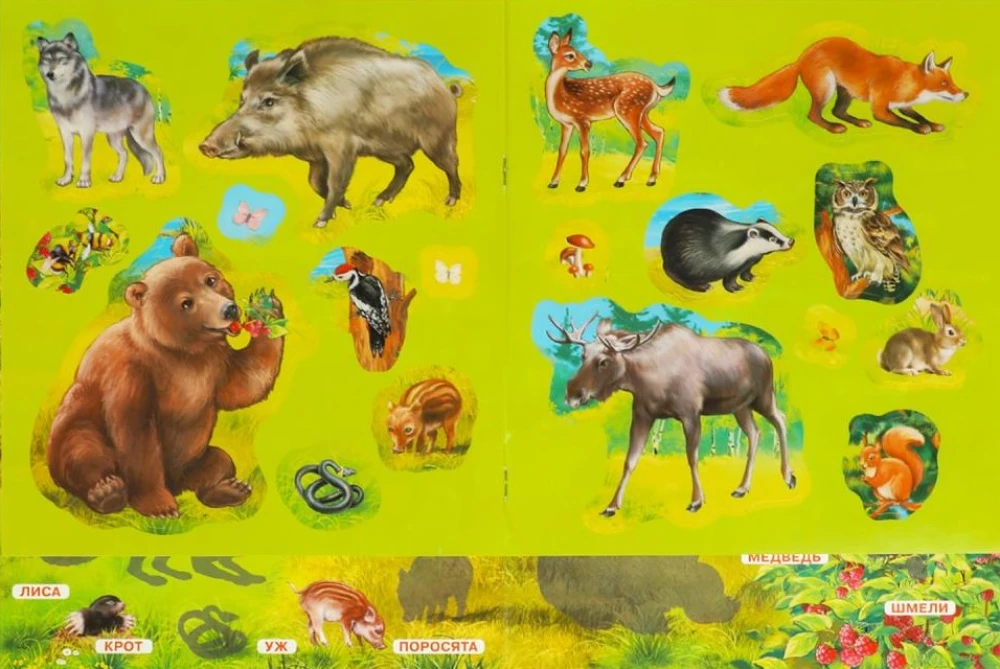 Sticker Book. Forest Animals