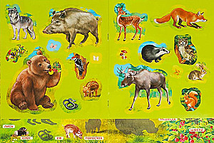 Sticker Book. Forest Animals
