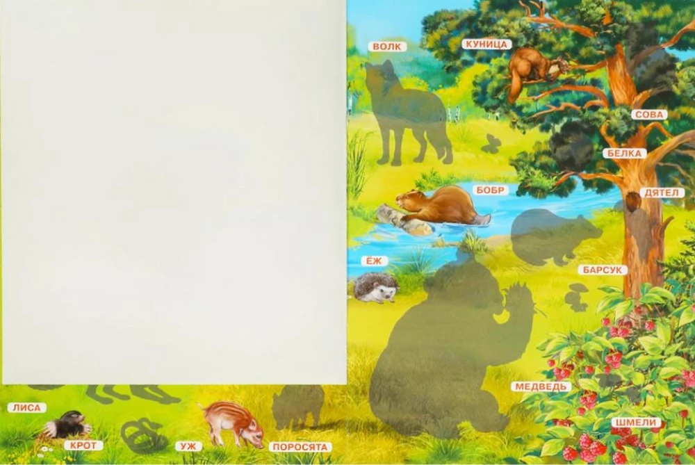 Sticker Book. Forest Animals