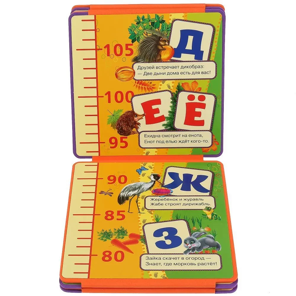 Height Chart (2 in 1)