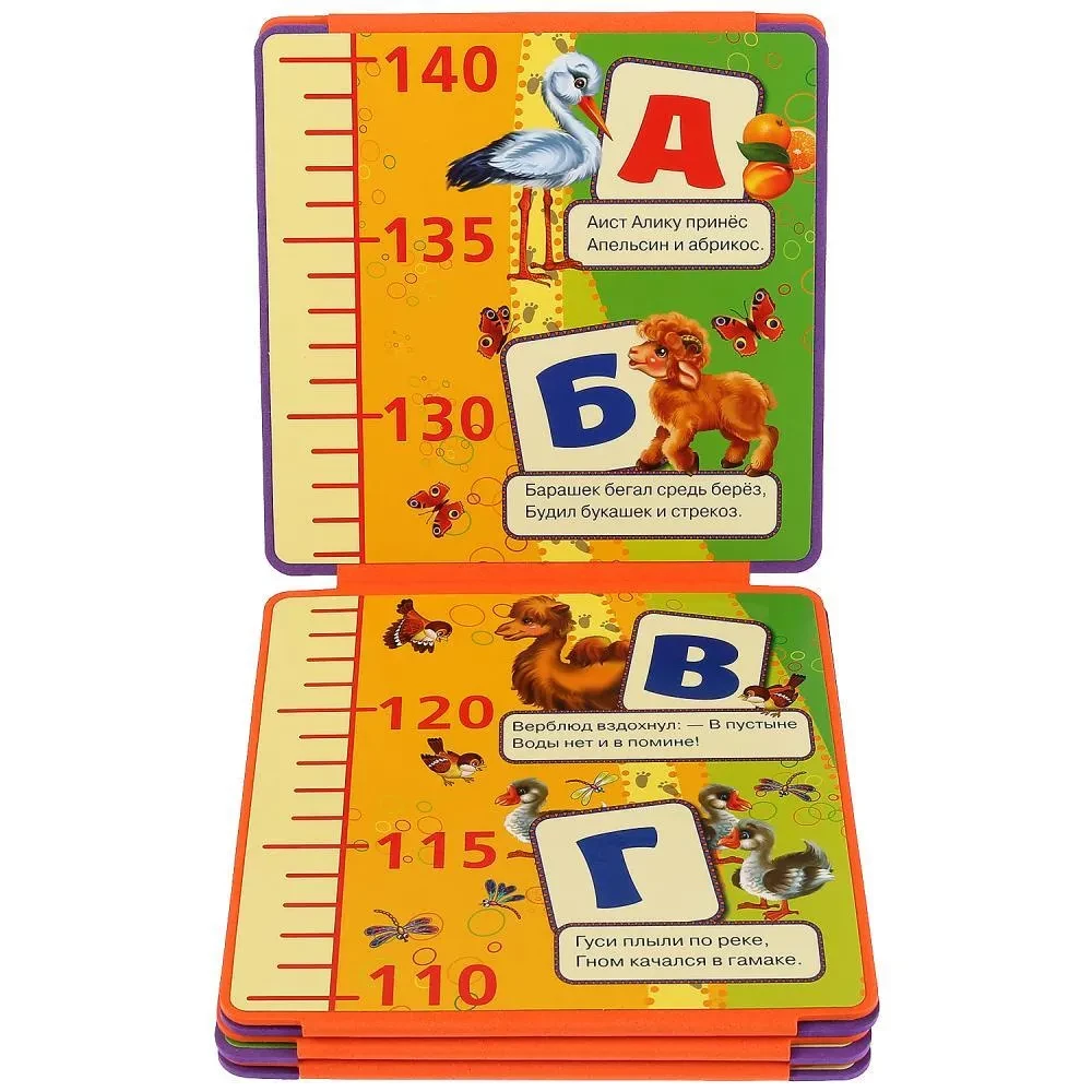 Height Chart (2 in 1)